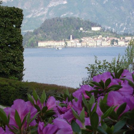 Charming Glicine And Azalea House Art And Colour With Lakeview Cadenabbia Εξωτερικό φωτογραφία