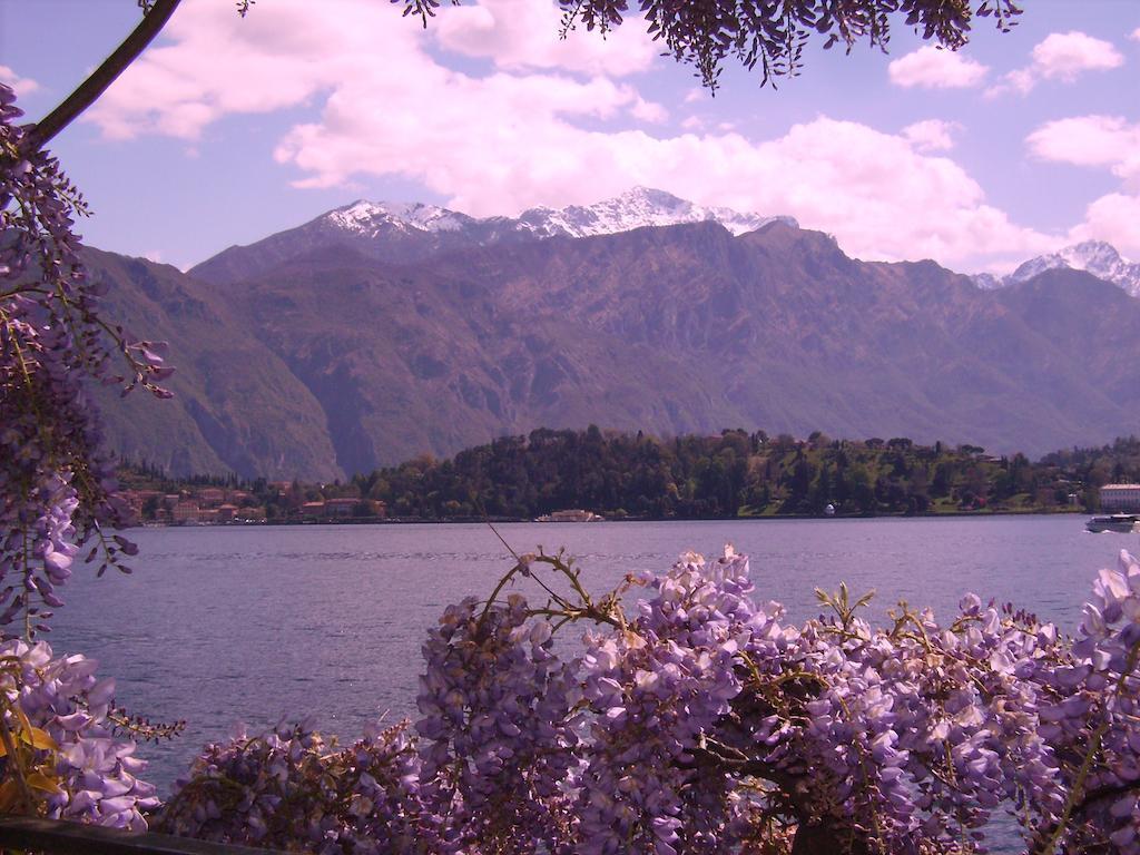 Charming Glicine And Azalea House Art And Colour With Lakeview Cadenabbia Δωμάτιο φωτογραφία