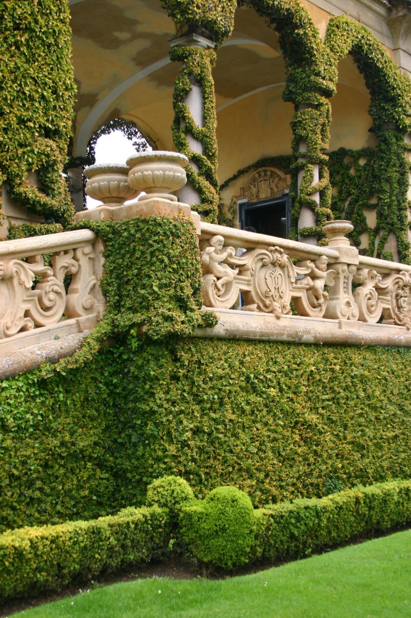 Charming Glicine And Azalea House Art And Colour With Lakeview Cadenabbia Εξωτερικό φωτογραφία
